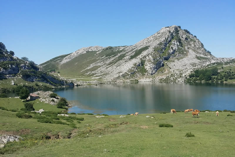 FOREST BATHING IN COVADONGA LAKES